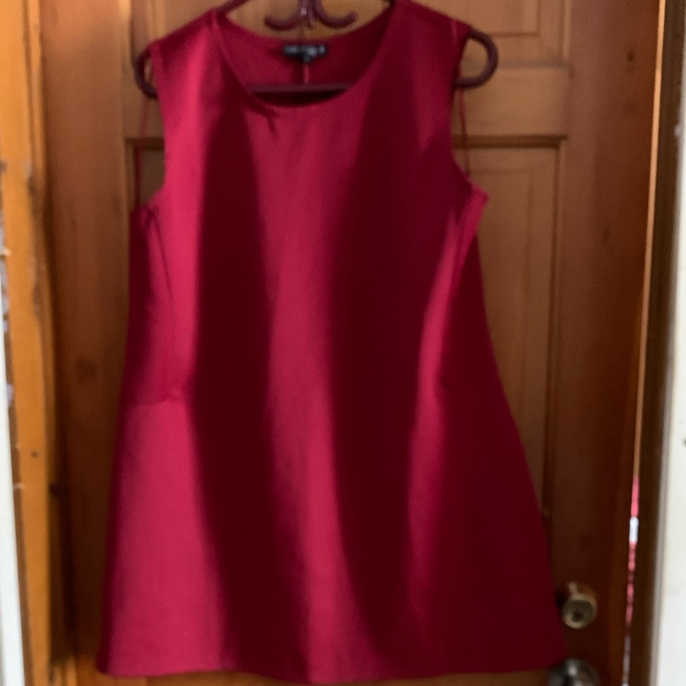 Plus sized red cocktail dress